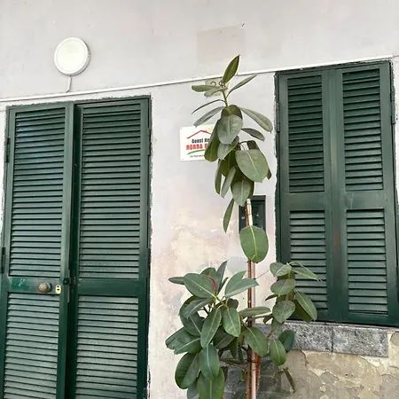 Guest House “Nonna Rossa”-3